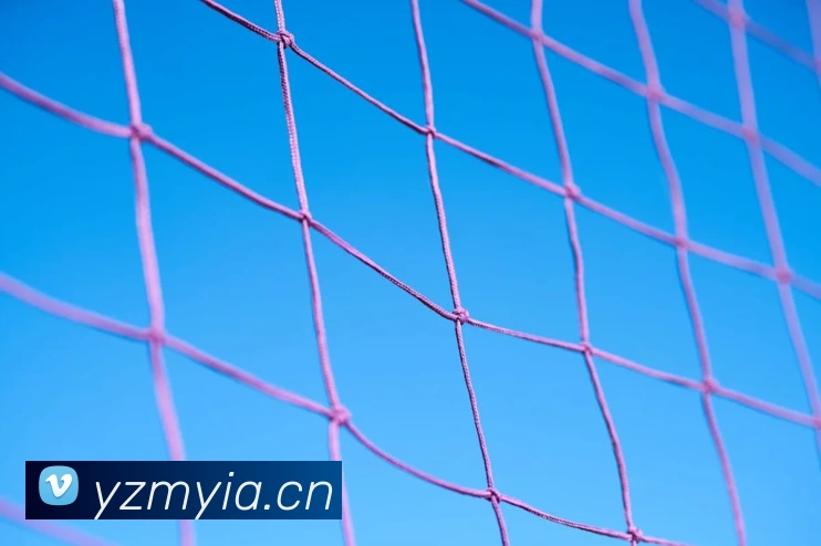 leyu乐鱼官方网站品牌故事