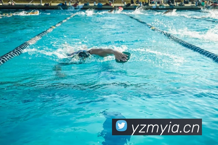 leyu乐鱼官方网站服务体系